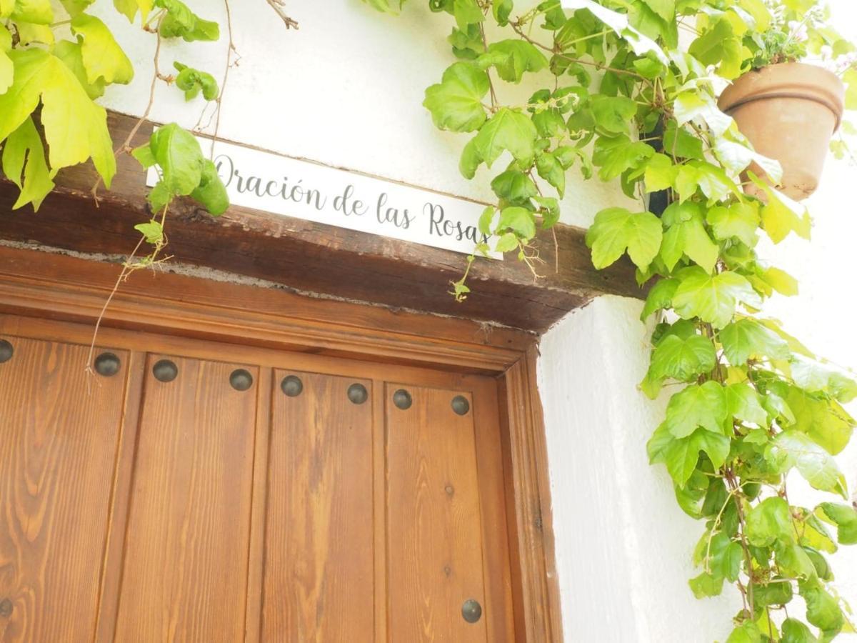 Casa Rural Catifalarga Alpujarra カピレイラ エクステリア 写真