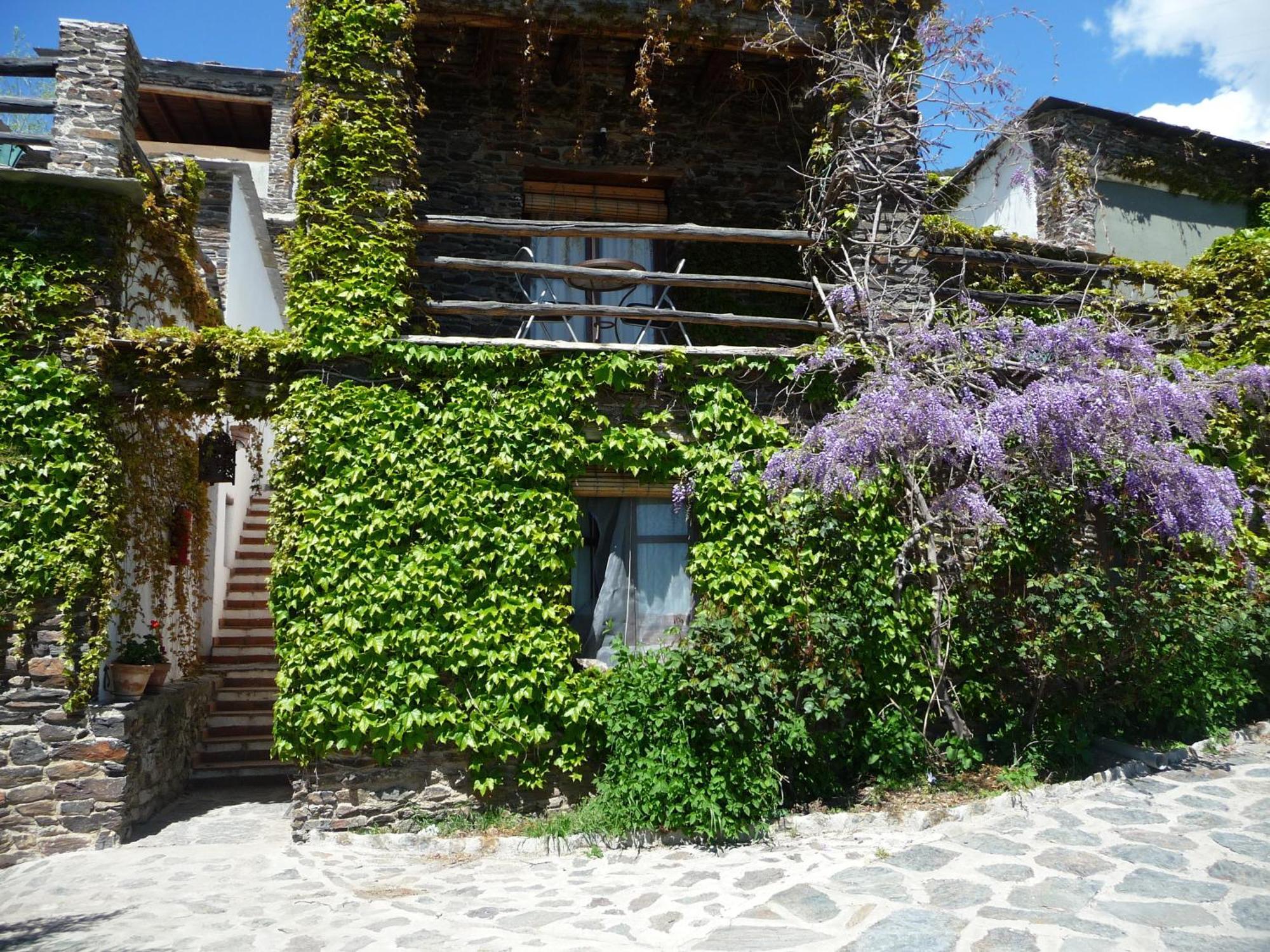 Casa Rural Catifalarga Alpujarra カピレイラ エクステリア 写真