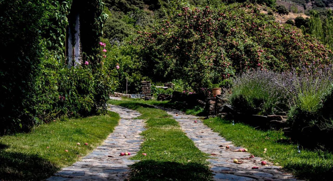 Casa Rural Catifalarga Alpujarra カピレイラ エクステリア 写真