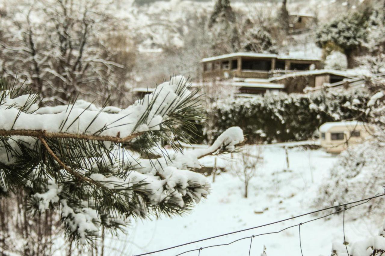 Casa Rural Catifalarga Alpujarra カピレイラ エクステリア 写真