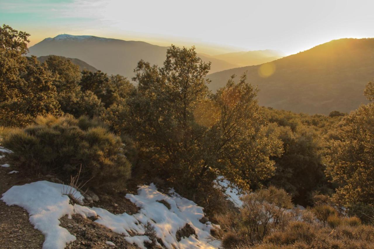 Casa Rural Catifalarga Alpujarra カピレイラ エクステリア 写真